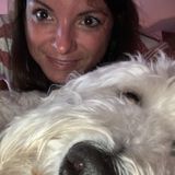Professional experienced reliable pet sitter