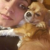 Providing personal care for your pets in the comfort of your own home