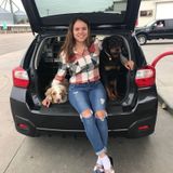 Professional Pet Grooming Available Now!