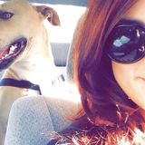 Experienced pet sitter