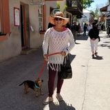 TravelGal - Mature, Best Home Sitter, Mobile Personal Chef & Shopper, Babysitter
