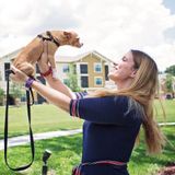 Pet Care Plus More / Your Pet's Home Away From Home