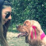Caring dog walker and pet sitter - Negotiable prices