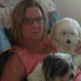 Seeking a Pet Sitter/Walker Job near Punta Gorda