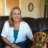 Disciplined and Experienced Housesitter for Hire