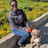 Hiring: Petsitter/ dog walker