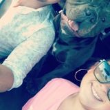 Dallas Pet Trainer Available For Work in Texas