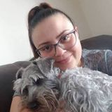 Kissimmee Doggy Daycare & Dog Boarding