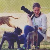 Positive Trainer and Dog walker