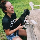Searching for a House Sitting Job in Bradenton, Florida