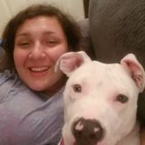 Pet Careing Service Provider looking for Work