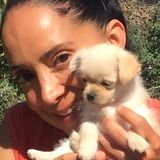Pet Sitter, who loves the company of animals. Very energetic and compassionate.