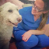 Dog Lover!