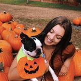 Gainesville, Florida House Sitting Professional