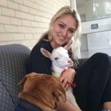 Most Reliable Pet Sitter in Saint Petersburg