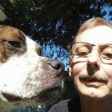 Reliable Pet Service Provider in Lehighton