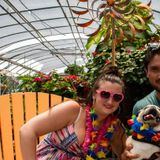 Dependable and Passionate Pet Sitter-Available immediately!