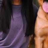 Leave your pets in safe hands!