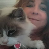 Reliable Cat & HomeSitter in Los Gatos, California