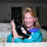 Professional Pet Sitter/Dog Walker for Your Furbabies