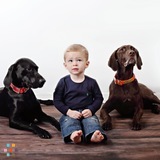 Dog walker needed ASAP!