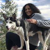 Available: Caring Pet Sitter in Arlington!