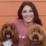 Honest Pet Carer Available Immediately