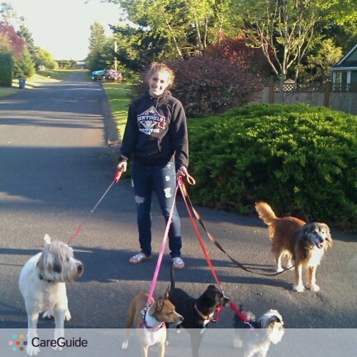 Pet Care Provider Emily C's Profile Picture