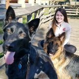 Flexible Animal Caregiver in Vancouver