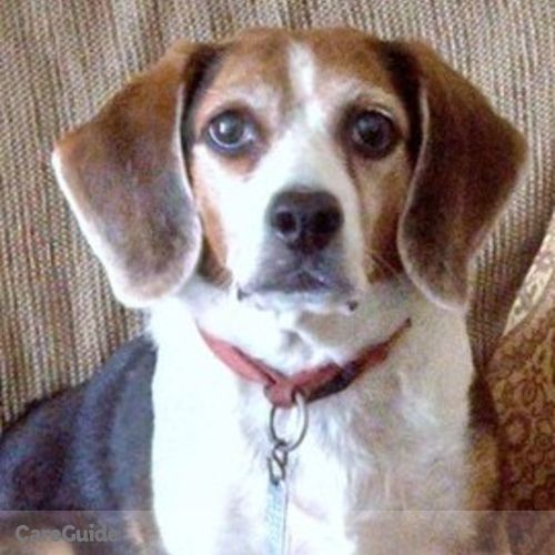 Pet Care Job Nicole E's Profile Picture