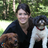 In Good Hands Pet Care - - in-home boarding, pet sitting, dog day care, dog walking