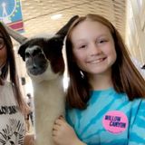 For Hire: 15 year old animal lover able to walk your dogs or pet sit in Surprise, AZ or surrounding areas.