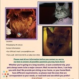 Caring, Loving, Dependable Pet Sitting Available!