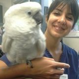 Pet Sitter (Experienced Veterinary Technician)