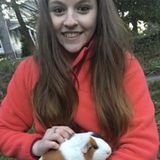 Passionate animal-lover in Clarksville