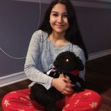 Searching for a Dog Walker Opportunity in San Antonio