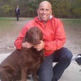 Dog walker /Sitter. owners I come fully insured !