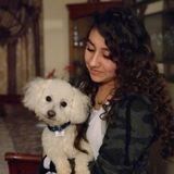 Polite Pet Care Provider in Newton, North Carolina