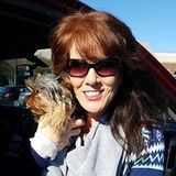 Kannapolis House and Petsitter Interviewing For Work