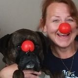 Belle's Pet Care