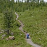 Live out nanny for two adventurous boys!