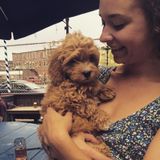Flexible Pet Carer Available Immediately