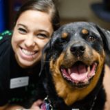 Experienced Dog/Cat Care Provider- Dog Walking/Pet Sitting