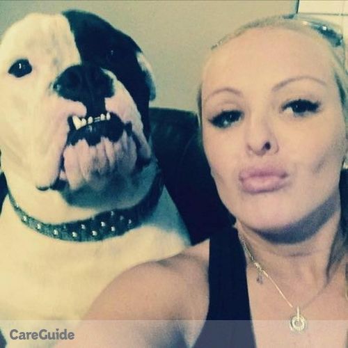 Pet Care Provider Andrea D's Profile Picture