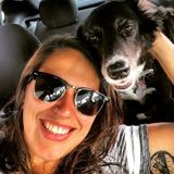 Merritt Island Pet Sitter Seeking Job Opportunities in Florida