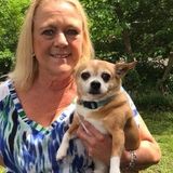 Trustworthy Pet Sitting Available Now!