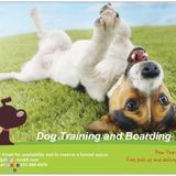Certified Professional Dog Boarding and Training