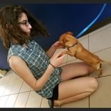 Available: Professional Pet Care Provider in Easton, Pennsylvania