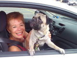 Pet Sitting and Dog Walking