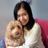 Carleton Place sitter - trustworthy, reliable, responsible